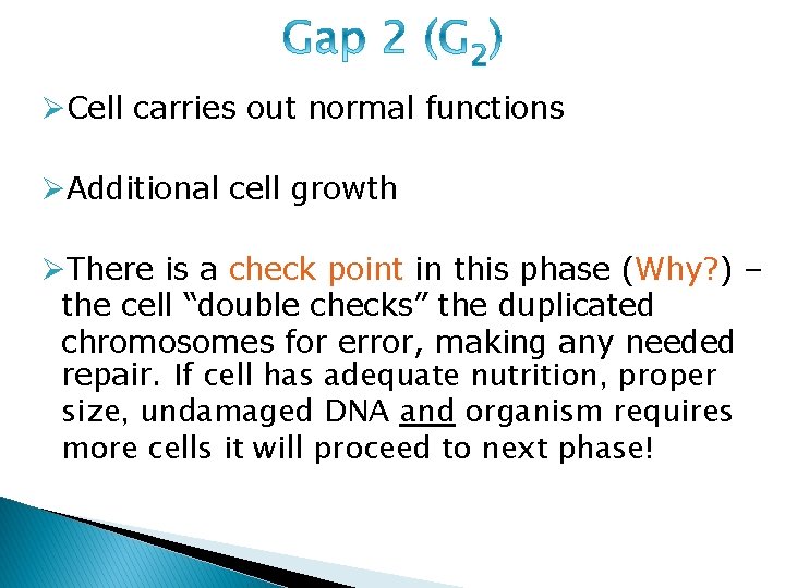 ØCell carries out normal functions ØAdditional cell growth ØThere is a check point in