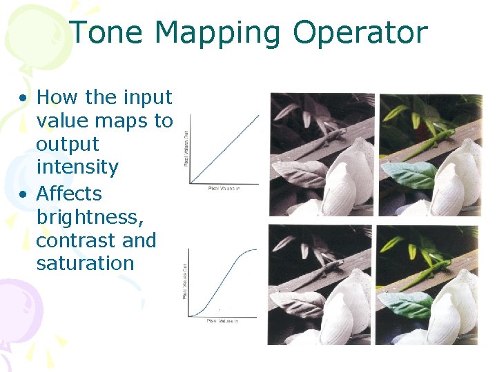 Tone Mapping Operator • How the input value maps to output intensity • Affects