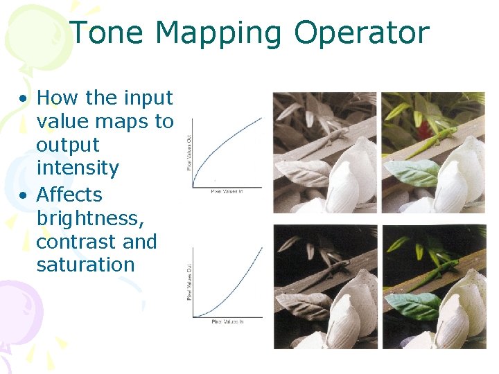 Tone Mapping Operator • How the input value maps to output intensity • Affects