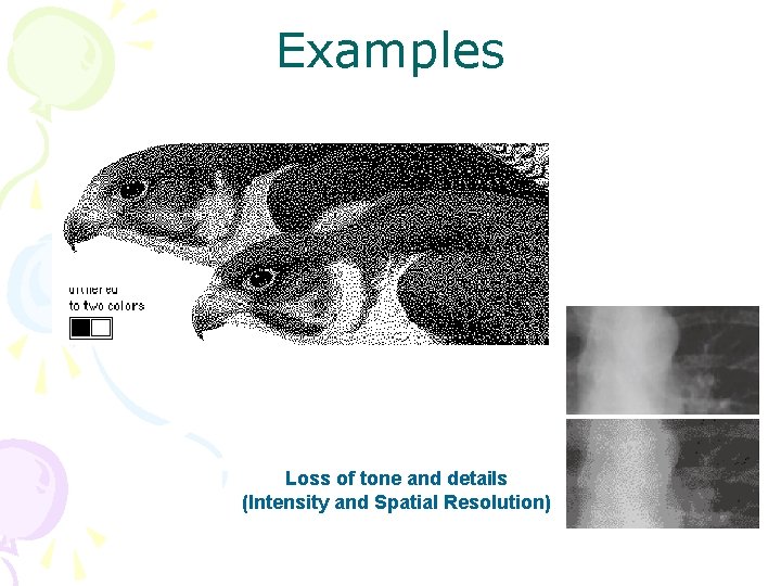 Examples Loss of tone and details (Intensity and Spatial Resolution) 