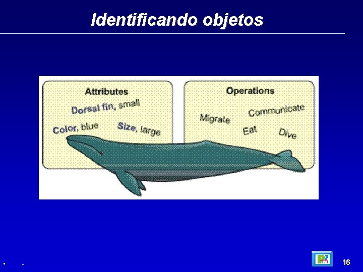 Identificando objetos • - 16 