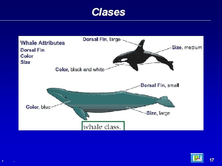 Clases • - 17 