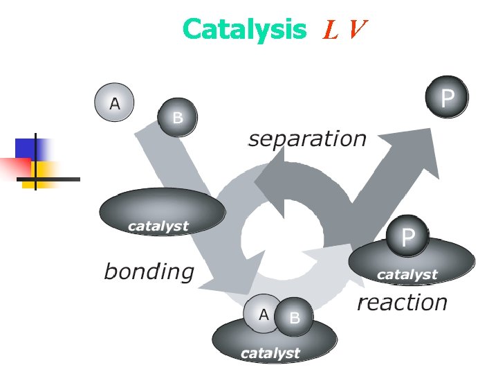 Catalysis L V 