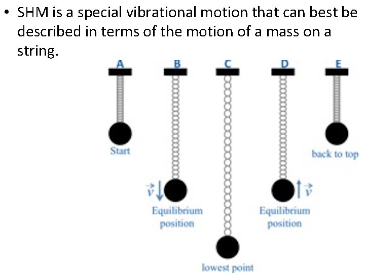 • SHM is a special vibrational motion that can best be described in • SHM is a special vibrational motion that can best be described in