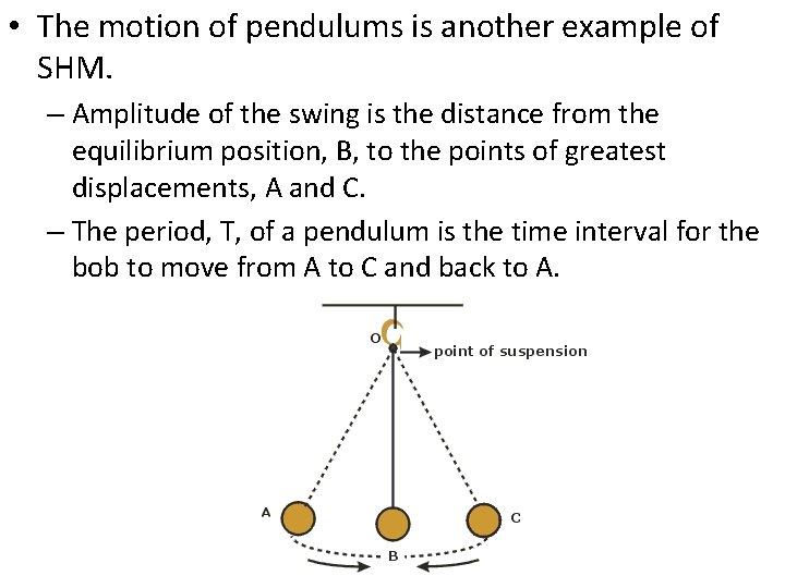 • The motion of pendulums is another example of SHM. – Amplitude of • The motion of pendulums is another example of SHM. – Amplitude of
