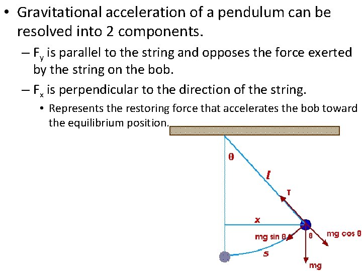 • Gravitational acceleration of a pendulum can be resolved into 2 components. – • Gravitational acceleration of a pendulum can be resolved into 2 components. –