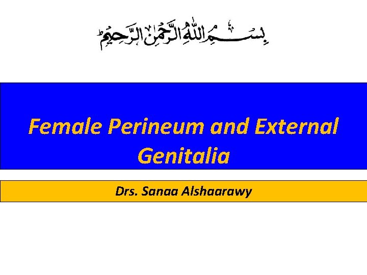 Female Perineum and External Genitalia Drs. Sanaa Alshaarawy 