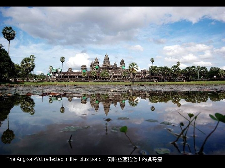 The Angkor Wat reflected in the lotus pond - 倒映在蓮花池上的吳哥窟 