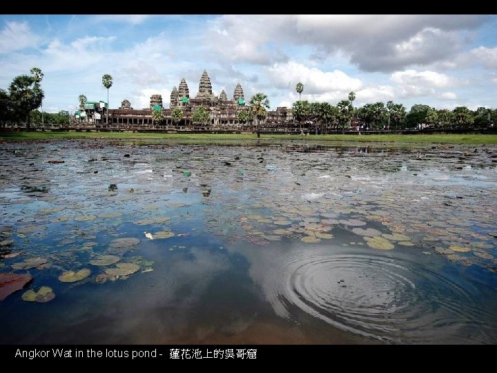 Angkor Wat in the lotus pond - 蓮花池上的吳哥窟 