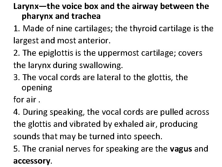 Larynx—the voice box and the airway between the pharynx and trachea 1. Made of