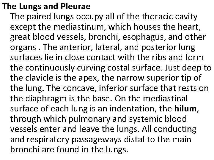 The Lungs and Pleurae The paired lungs occupy all of the thoracic cavity except