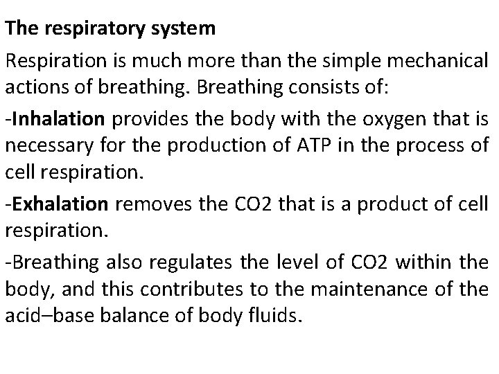 The respiratory system Respiration is much more than the simple mechanical actions of breathing.