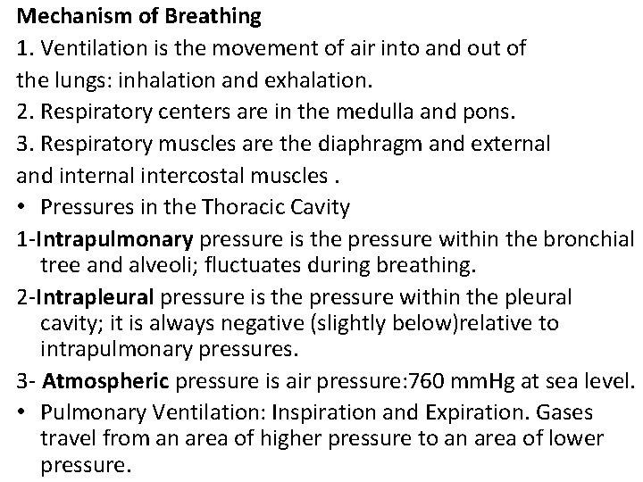 Mechanism of Breathing 1. Ventilation is the movement of air into and out of