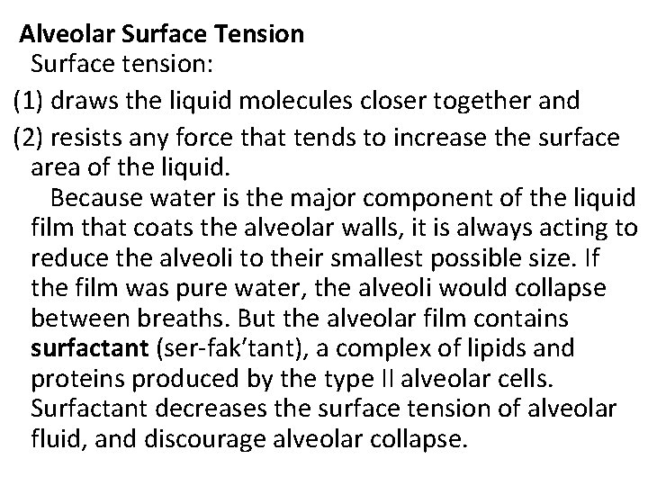 Alveolar Surface Tension Surface tension: (1) draws the liquid molecules closer together and (2)