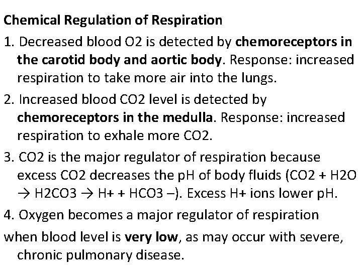 Chemical Regulation of Respiration 1. Decreased blood O 2 is detected by chemoreceptors in
