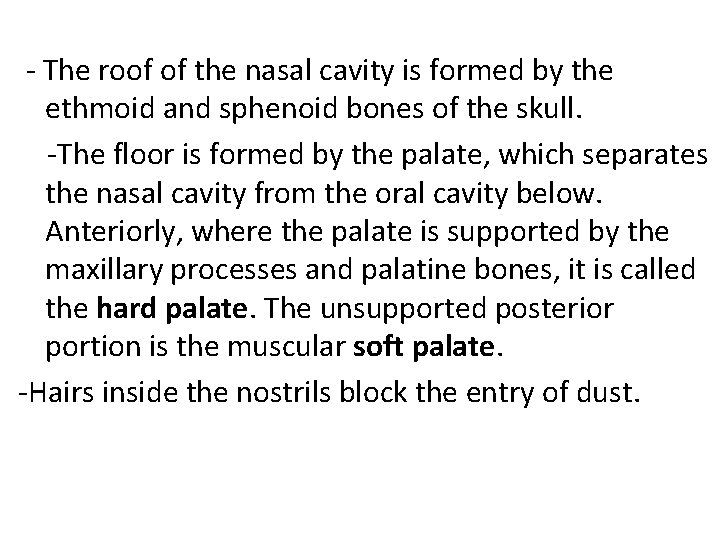 - The roof of the nasal cavity is formed by the ethmoid and sphenoid