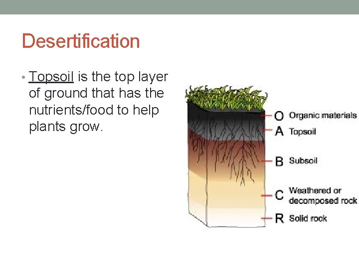 Desertification • Topsoil is the top layer of ground that has the nutrients/food to