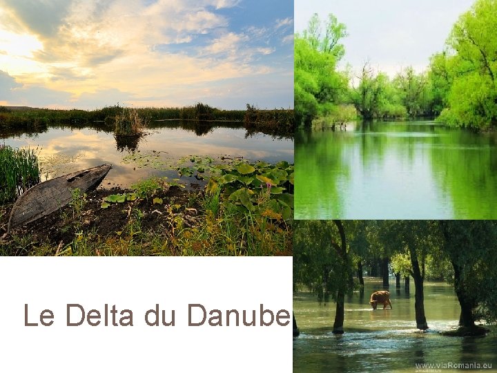Le Delta du Danube 