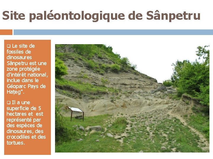 Site paléontologique de Sânpetru q Le site de fossiles de dinosaures Sânpetru est une