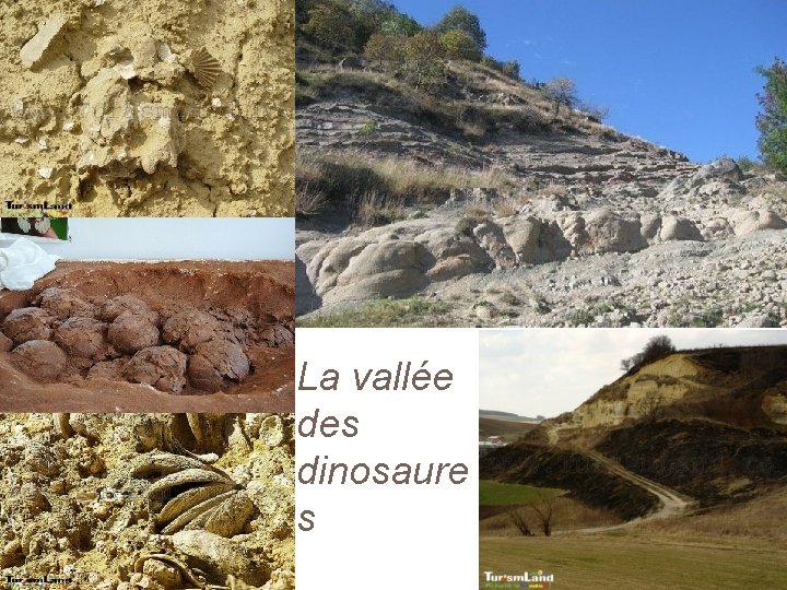 La vallée des dinosaure s 