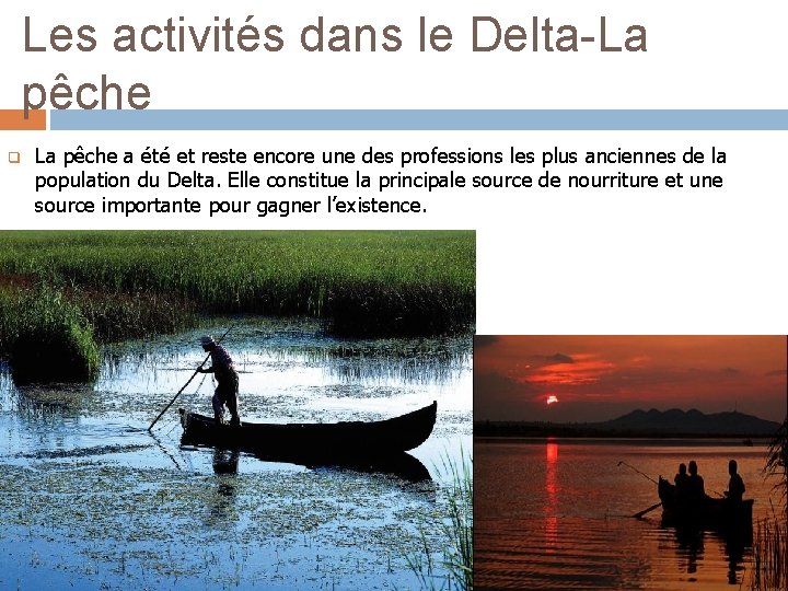 Les activités dans le Delta-La pêche q La pêche a été et reste encore