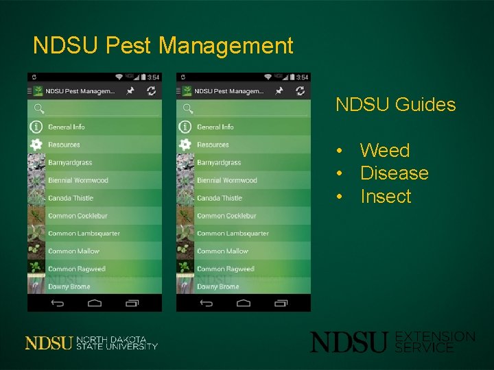 NDSU Pest Management NDSU Guides • Weed • Disease • Insect 