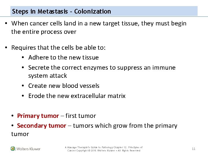 Steps in Metastasis – Colonization • When cancer cells land in a new target