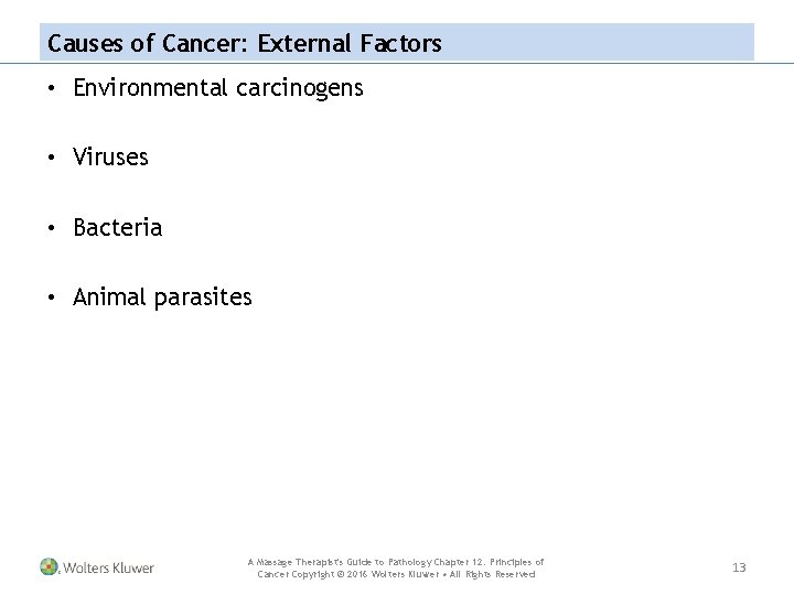 Causes of Cancer: External Factors • Environmental carcinogens • Viruses • Bacteria • Animal