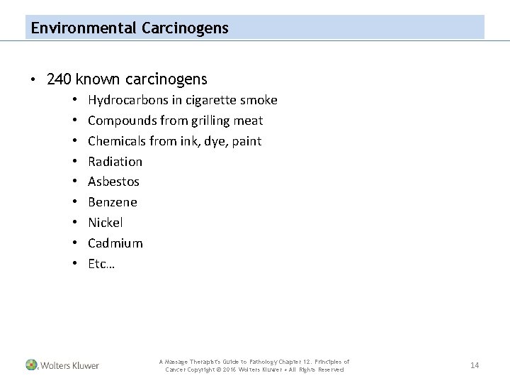 Environmental Carcinogens • 240 known carcinogens • • • Hydrocarbons in cigarette smoke Compounds