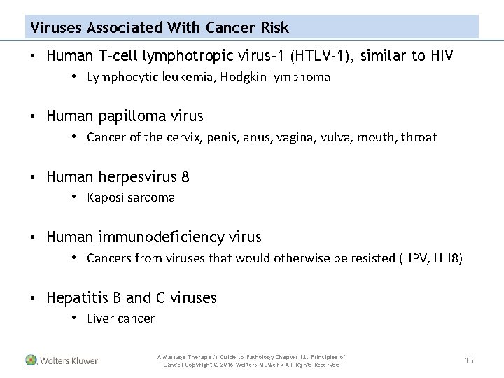 Viruses Associated With Cancer Risk • Human T-cell lymphotropic virus-1 (HTLV-1), similar to HIV