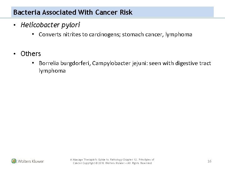 Bacteria Associated With Cancer Risk • Helicobacter pylori • Converts nitrites to carcinogens; stomach
