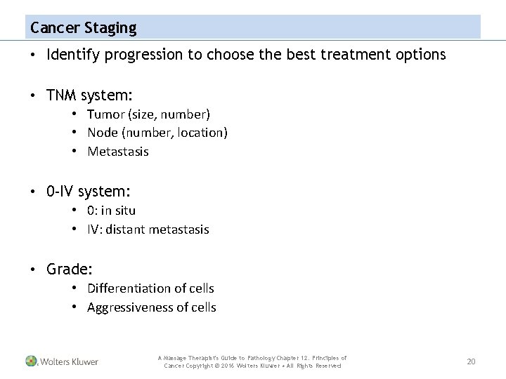 Cancer Staging • Identify progression to choose the best treatment options • TNM system: