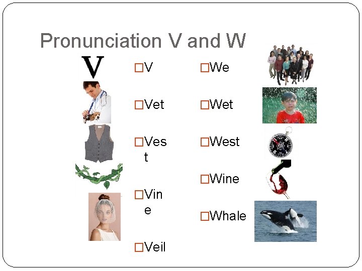 Pronunciation V and W �V �We �Vet �Wet �Ves �West t �Wine �Vin e