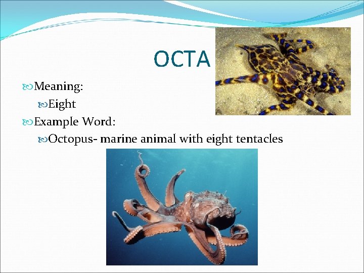 OCTA Meaning: Eight Example Word: Octopus- marine animal with eight tentacles 