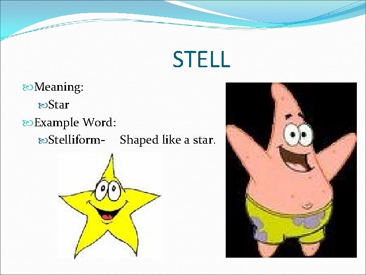 STELL Meaning: Star Example Word: Stelliform- Shaped like a star. 