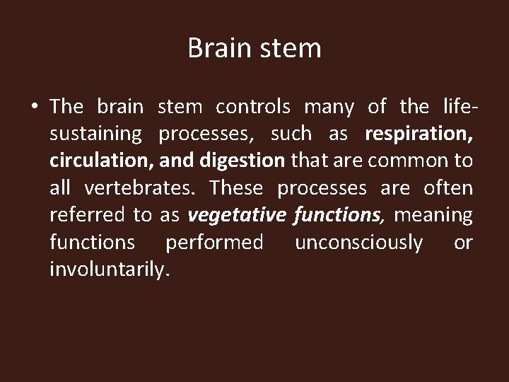 Brain stem • The brain stem controls many of the lifesustaining processes, such as