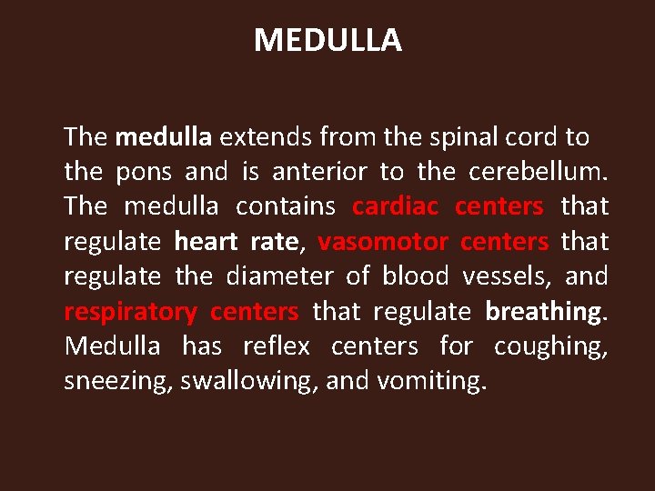 MEDULLA The medulla extends from the spinal cord to the pons and is anterior