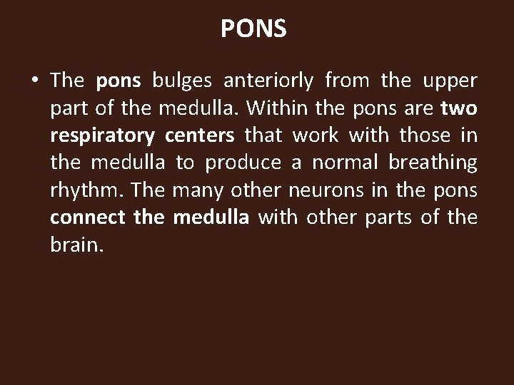 PONS • The pons bulges anteriorly from the upper part of the medulla. Within