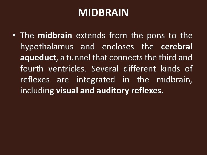 MIDBRAIN • The midbrain extends from the pons to the hypothalamus and encloses the