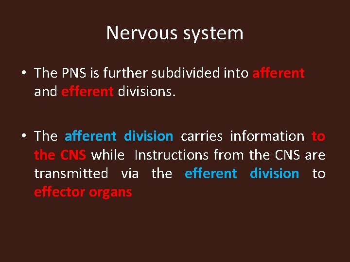 Nervous system • The PNS is further subdivided into afferent and efferent divisions. •