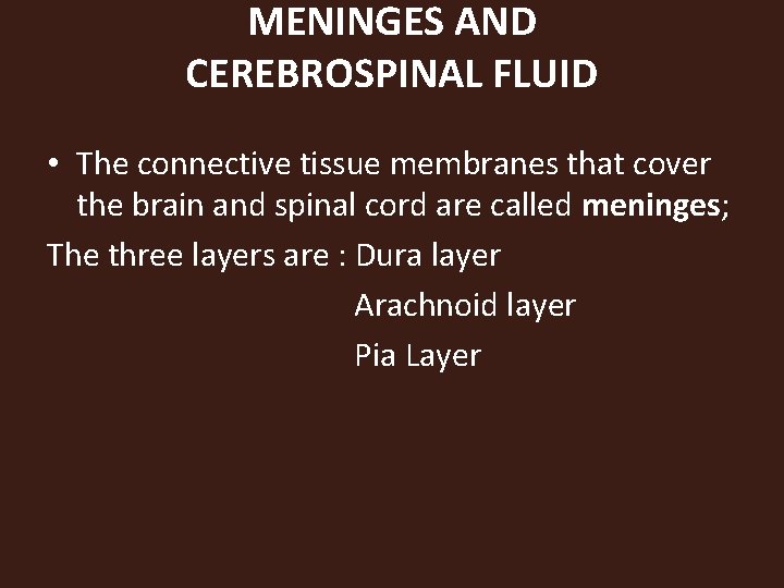 MENINGES AND CEREBROSPINAL FLUID • The connective tissue membranes that cover the brain and