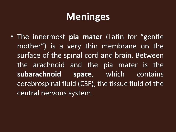 Meninges • The innermost pia mater (Latin for “gentle mother”) is a very thin