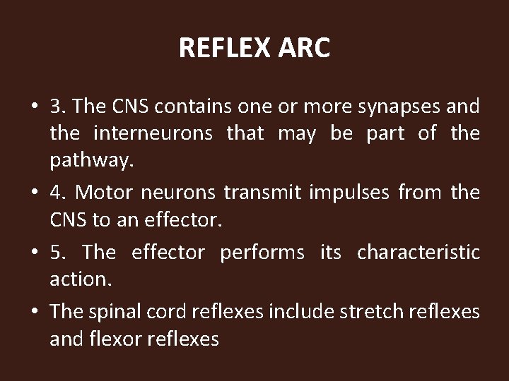 REFLEX ARC • 3. The CNS contains one or more synapses and the interneurons