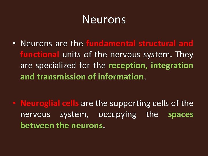 Neurons • Neurons are the fundamental structural and functional units of the nervous system.