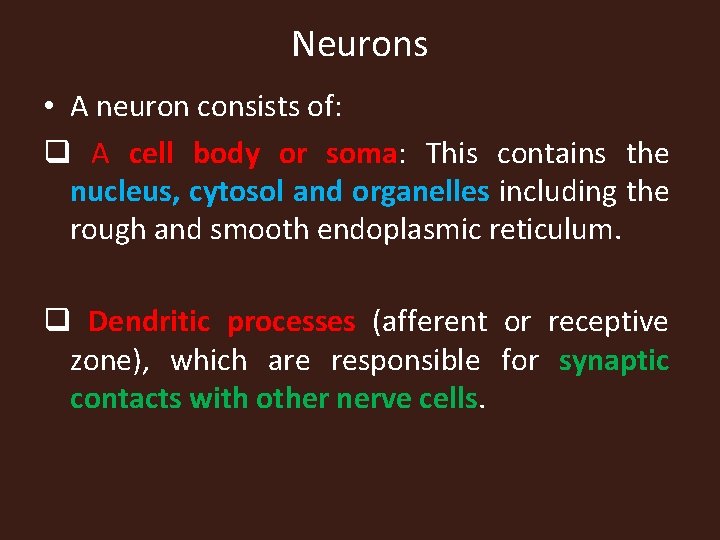 Neurons • A neuron consists of: q A cell body or soma: This contains