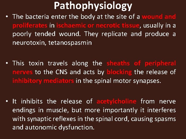 Pathophysiology • The bacteria enter the body at the site of a wound and