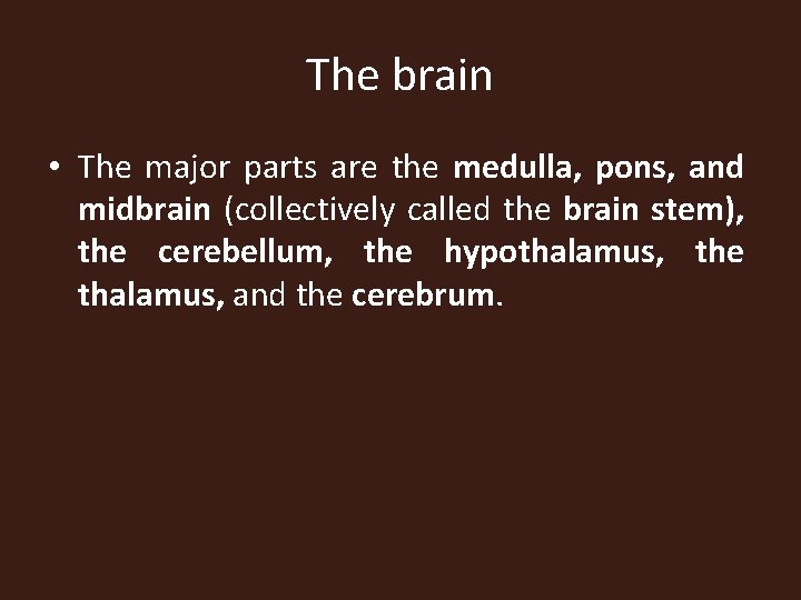 The brain • The major parts are the medulla, pons, and midbrain (collectively called