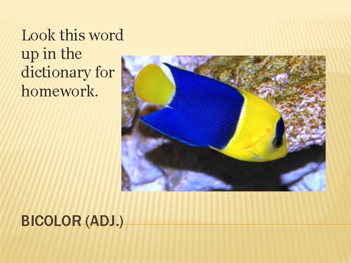 Look this word up in the dictionary for homework. BICOLOR (ADJ. ) 