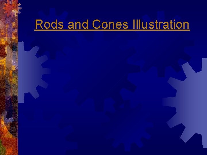 Rods and Cones Illustration 