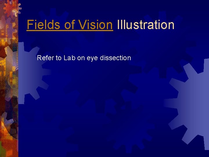 Fields of Vision Illustration Refer to Lab on eye dissection 